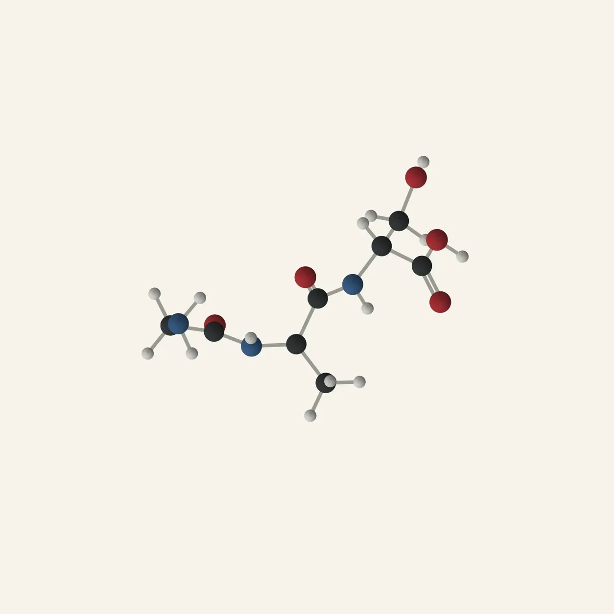 Ball-and-stick molecular model of the example tripeptide glycyl-alanyl-serine.